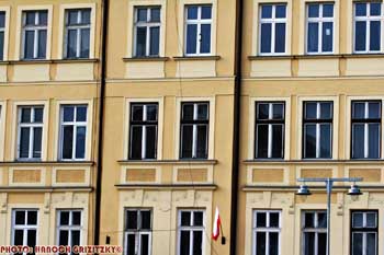 IMG_ (11115)